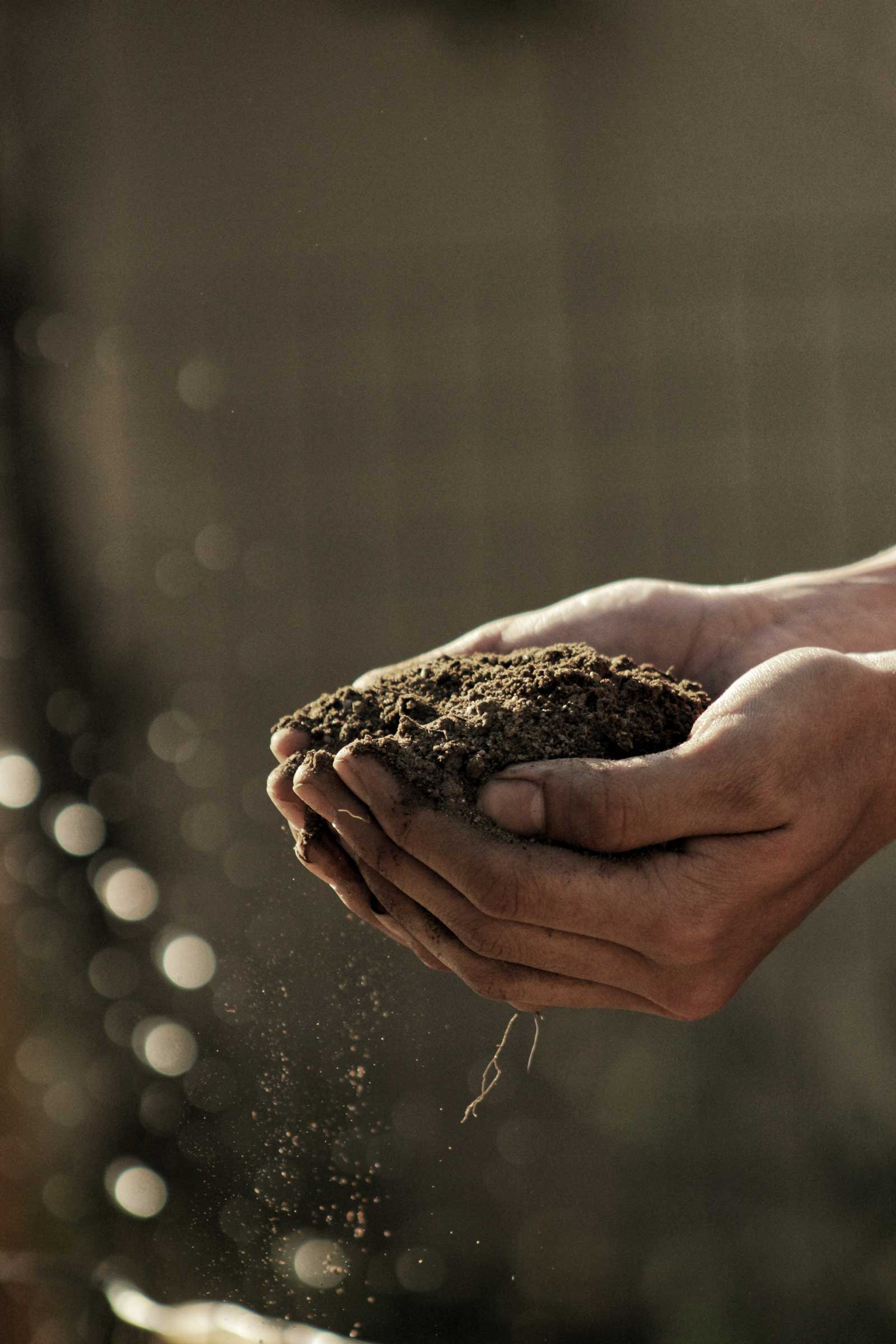 hand with soil