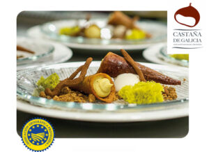 Concurso castaña 2025 por Terra Food Solutions